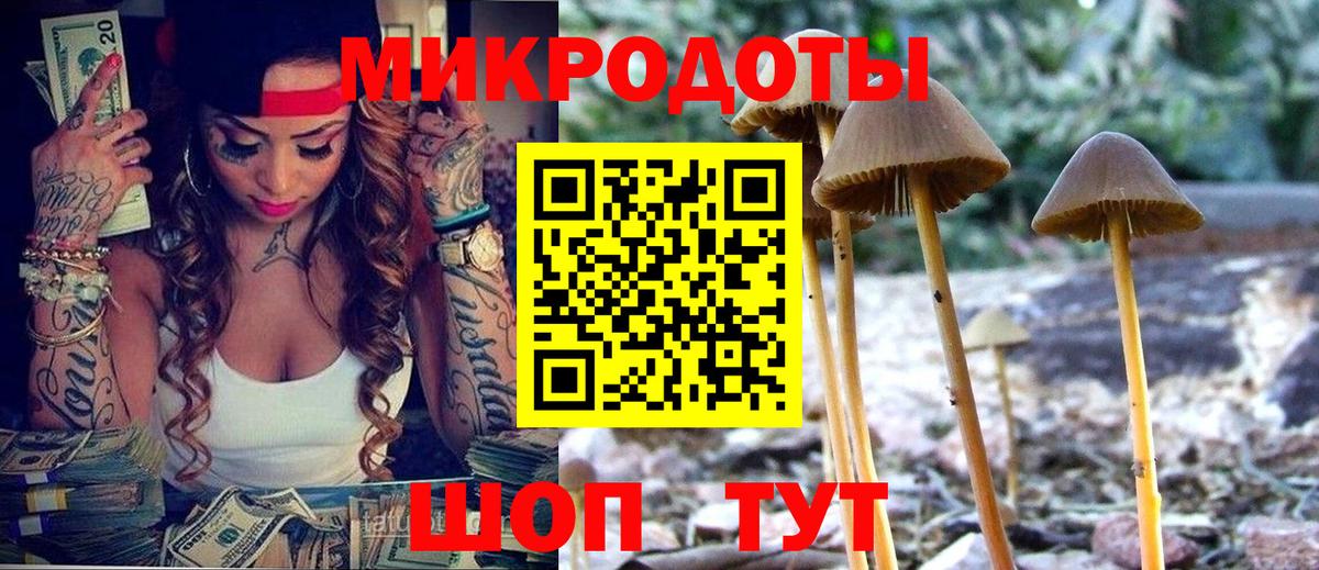 Галлюциногенные грибы мухоморы  сколько стоит  Псилоцибиновые грибы ЛСД  Хасавюрт  Вход с VPN 